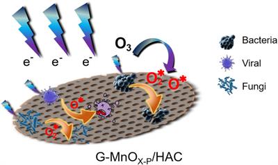 Synergistic graphene-MnOx/honeycomb activated carbon (G-MnOx/HAC) and plasma technology for eradication of pathogenic microorganisms